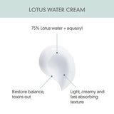 Calming Lotus Cream