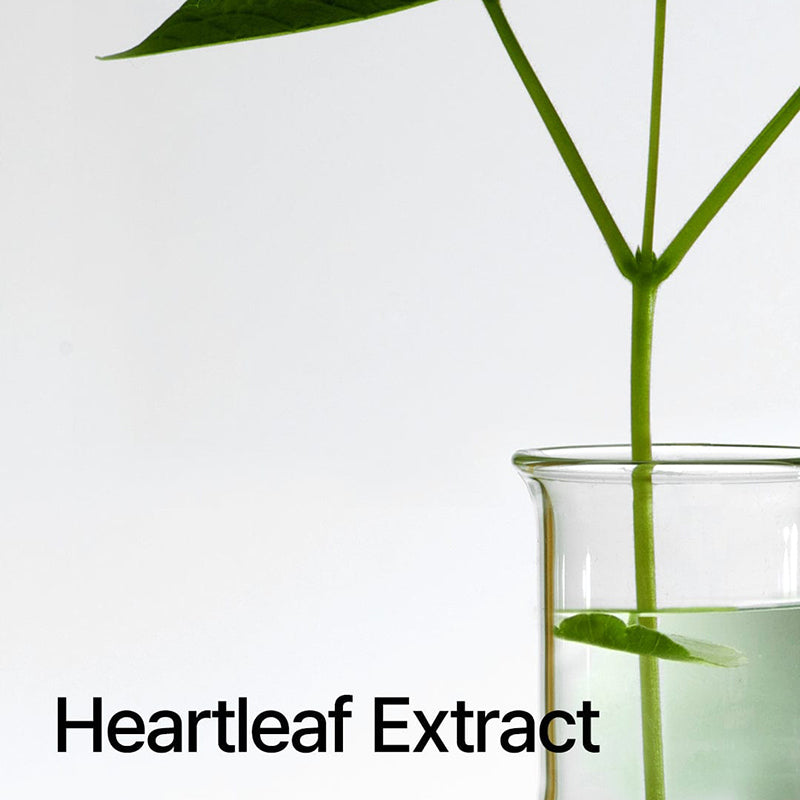 Heartleaf Pore Control Cleansing Oil